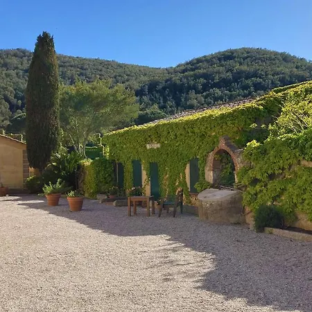 Sant'anna Del Volterraio - I Lecci 6 *