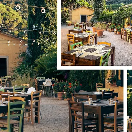 Sant'anna Del Volterraio - I Lecci 6