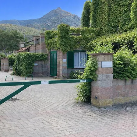 Sant'anna Del Volterraio - I Lecci 6 *