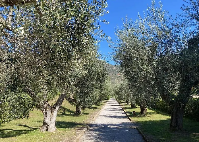 Sant'anna Del Volterraio - I Lecci 6 Appartement Portoferraio