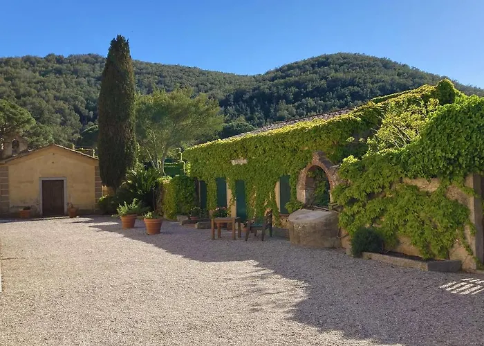 Sant'anna Del Volterraio - I Lecci 6 *